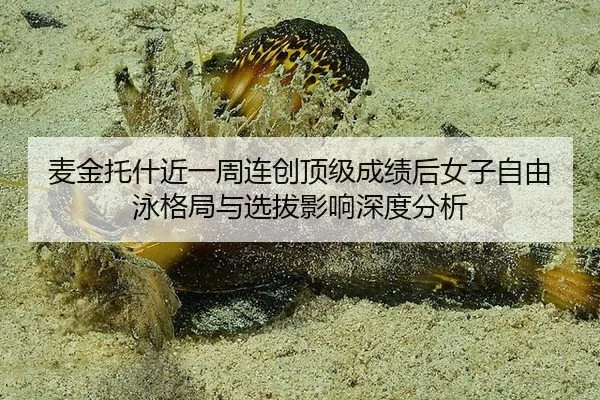 麦金托什近一周连创顶级成绩后女子自由泳格局与选拔影响深度分析