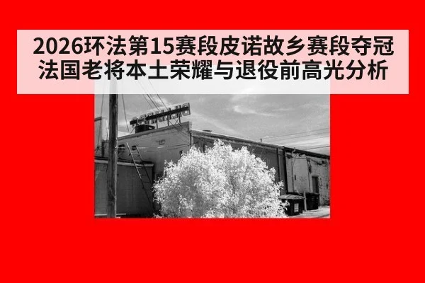 2026环法第15赛段皮诺故乡赛段夺冠法国老将本土荣耀与退役前高光分析