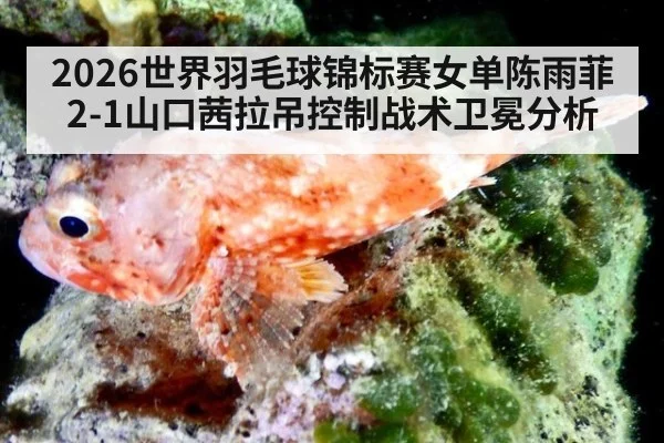 2026世界羽毛球锦标赛女单陈雨菲2-1山口茜拉吊控制战术卫冕分析
