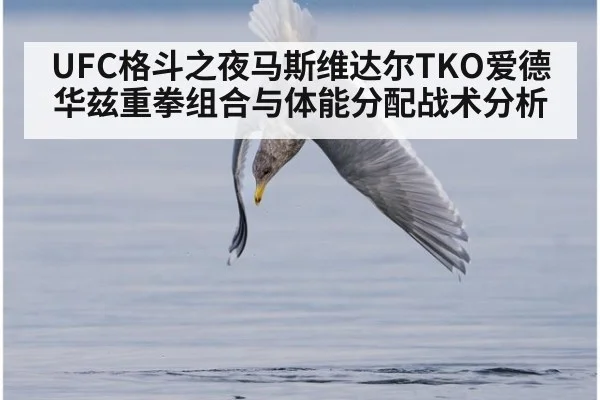 UFC格斗之夜马斯维达尔TKO爱德华兹重拳组合与体能分配战术分析